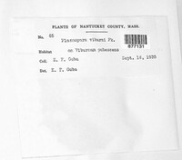 Image Associated With the Occurence